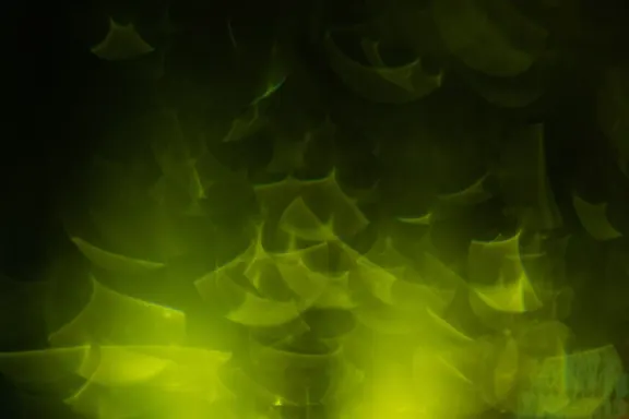 Billion Casino Supporto